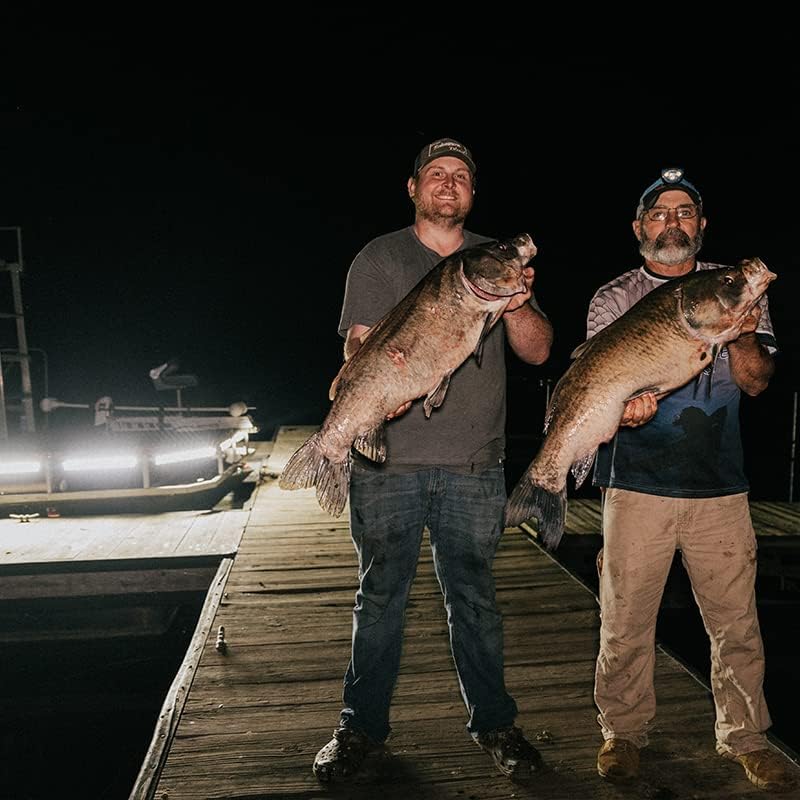 FOXPRO Mudcutter Bowfishing Lights 1 Boat LED Light Remote Operated with Adjustable Color and Brightness