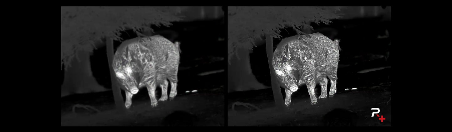 Nocpix Ace L35 Thermal Scope