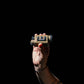 Nocpix Micro 2 Ultra, 1280x960 1X, 25mm Multifunction Thermal Sight (pre-order)