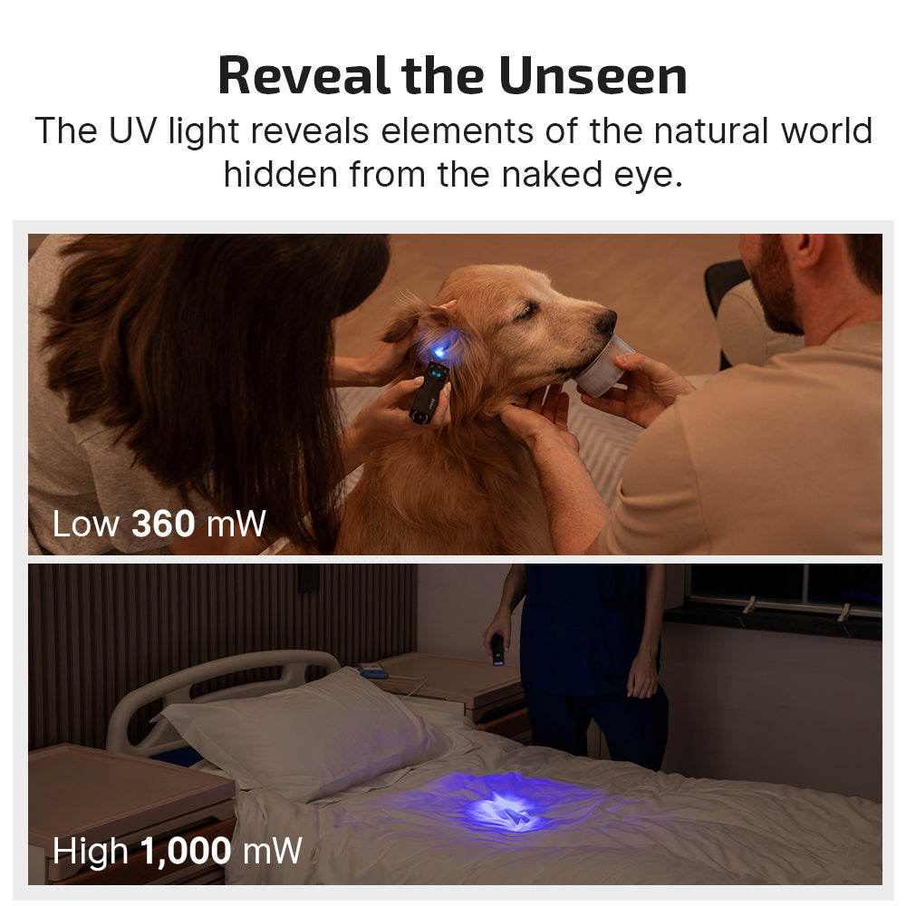 Olight ArkPro Lite – Flat Unibody EDC Flashlight with Multi-Light Sources (Black)